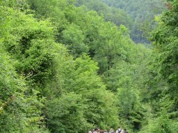 Nyárköszöntő túra a BEG Barangolókkal