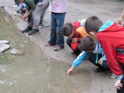 Nyárköszöntő túra a BEG Barangolókkal