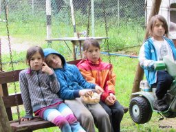 Nyárköszöntő túra a BEG Barangolókkal