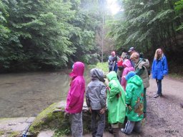 Nyárköszöntő túra a BEG Barangolókkal