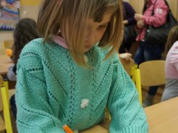 Indiánok hada a nyílt napunkon