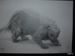 Alapfok kiállítás