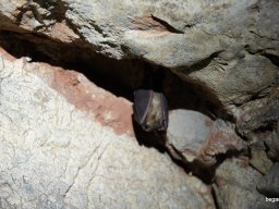 BEG Barangolókkal a Zichy-barlangban