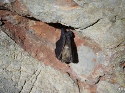 BEG Barangolókkal a Zichy-barlangban