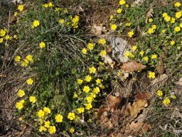 BEG Barangolókkal a Zichy-barlangban