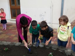 Kertészkedés "1.a módra"