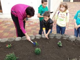 Kertészkedés "1.a módra"