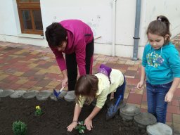 Kertészkedés "1.a módra"