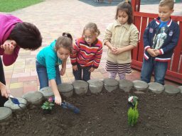 Kertészkedés "1.a módra"