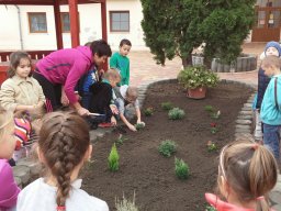 Kertészkedés "1.a módra"