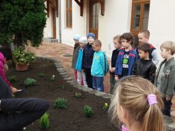 Kertészkedés "1.a módra"