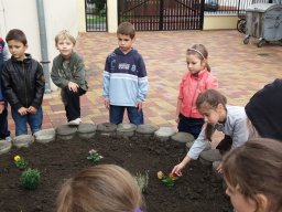 Kertészkedés "1.a módra"