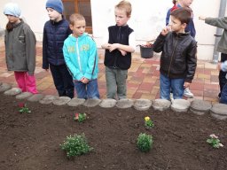 Kertészkedés "1.a módra"