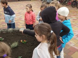 Kertészkedés "1.a módra"