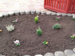 Kertészkedés "1.a módra"