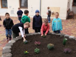 Kertészkedés "1.a módra"