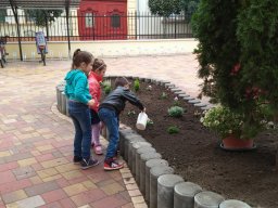 Kertészkedés "1.a módra"