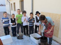 Szüreti mulatság 2014