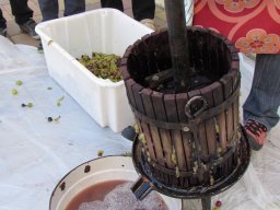 Szüreti mulatság 2014