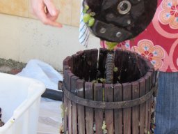 Szüreti mulatság 2014