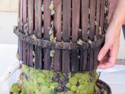 Szüreti mulatság 2014