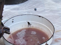 Szüreti mulatság 2014