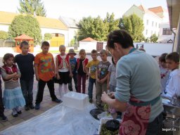 Szüreti mulatság 2014