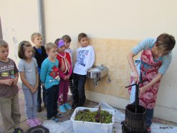 Szüreti mulatság 2014