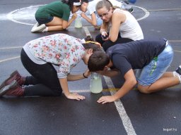 Tökjó-hét (Gólyahét)