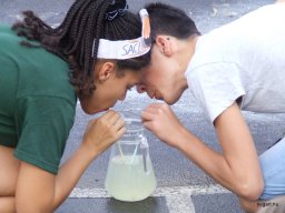 Tökjó-hét (Gólyahét)