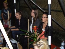 Tökjó-hét (Gólyahét)