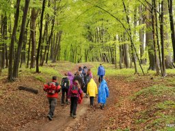 A tavaszi szüneti vértesi túra