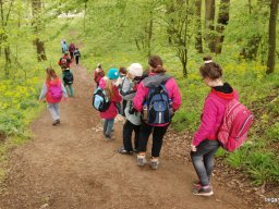 A tavaszi szüneti vértesi túra