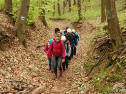 A tavaszi szüneti vértesi túra