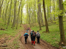 A tavaszi szüneti vértesi túra