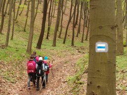 A tavaszi szüneti vértesi túra