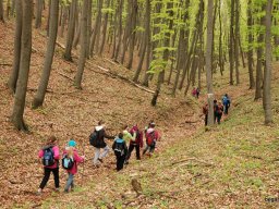 A tavaszi szüneti vértesi túra
