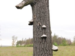 A tavaszi szüneti vértesi túra