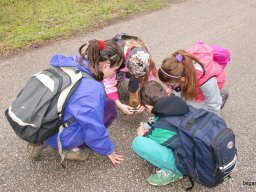 A tavaszi szüneti vértesi túra