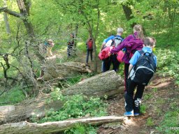 A tavaszi szüneti vértesi túra