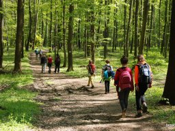 A tavaszi szüneti vértesi túra