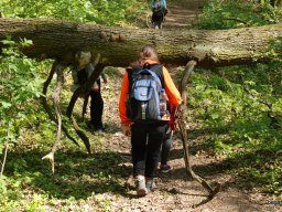 A tavaszi szüneti vértesi túra