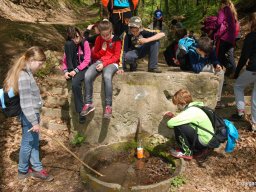 A tavaszi szüneti vértesi túra