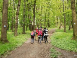A tavaszi szüneti vértesi túra