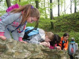 A tavaszi szüneti vértesi túra