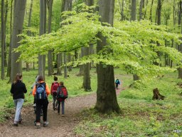 A tavaszi szüneti vértesi túra