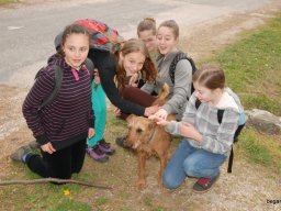 A tavaszi szüneti vértesi túra