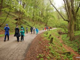 A tavaszi szüneti vértesi túra