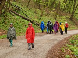 A tavaszi szüneti vértesi túra
