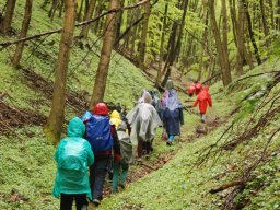A tavaszi szüneti vértesi túra